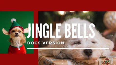 singing dog youtube|dogs barking jingle bells video.